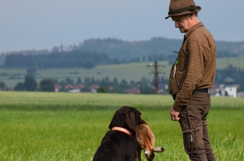 Třináct zástupců z řad ohařů bojovalo o Pohár MS Družba Vídeň-Dobrá Voda