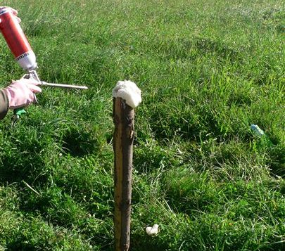 Pachové ohradníky chrání řidiče před střety se zvěří na 130 km silnic na Vysočině