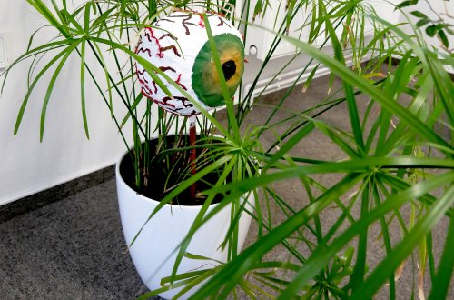 Čichám, čichám člověčinu...