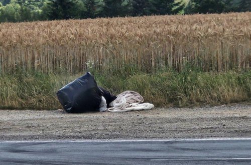 Za odpad pohozený mimo kontejnery hrozí pokuta