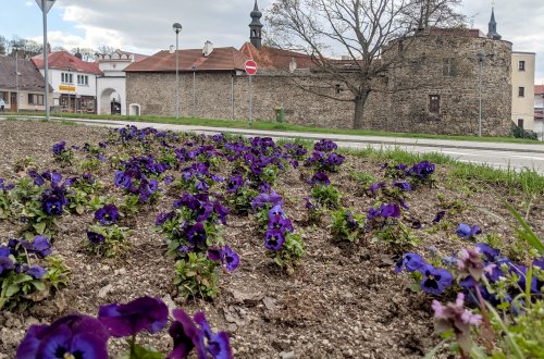 S jarem začne nejen výsadba květin