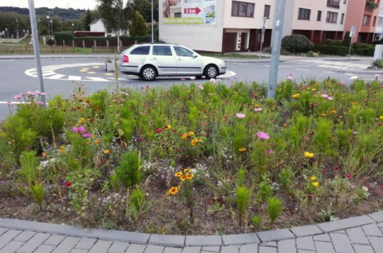 Místo proužků trávy jsou ve městě rozkvetlé louky