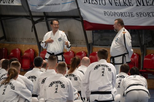 Příznivci umění Taekwon-do se sešli na Sportovní ulici