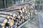 Za nepovolené překročení maximální těžby hrozí vlastníkům lesa vysoké pokuty