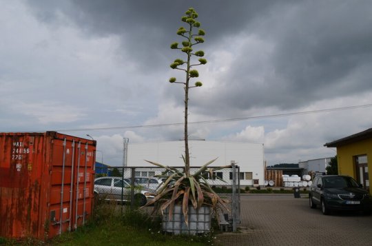 Kousek Mexika v Meziříčí