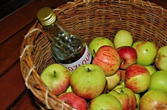 Na koštu pálenek ochutnáte třeba slivovici, jablkovici i likéry