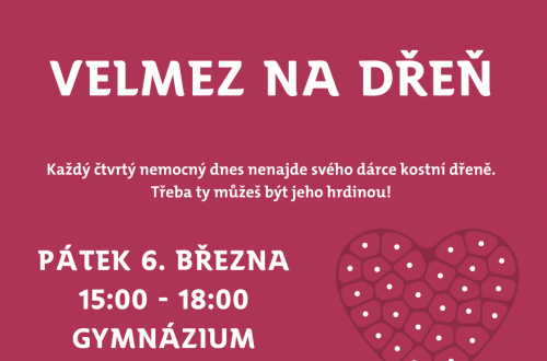 Zapojením do akce VelMez na DŘEŇ můžete pomoct i malému Milánkovi