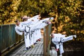 Největší škola taekwon-do v České republice vstupuje do nové sezóny