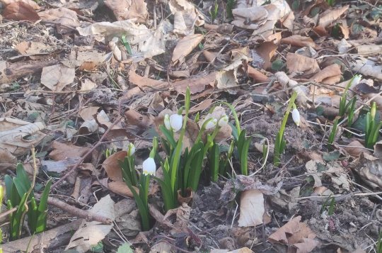 Už jste navštívili údolí Chlébského potoka