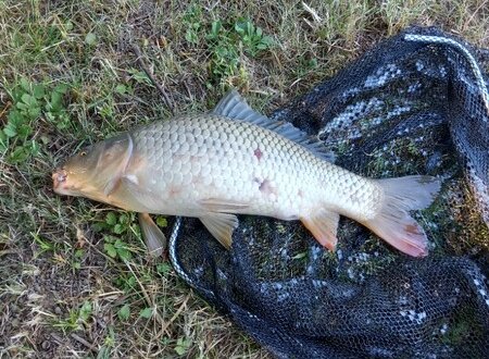 Rybářskou soutěž ovládly Jaroměřice