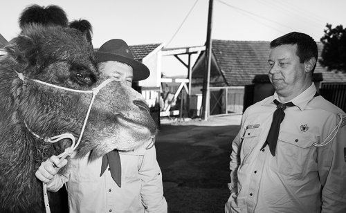 Do divadla v Brně sveze návštěvníky autobus