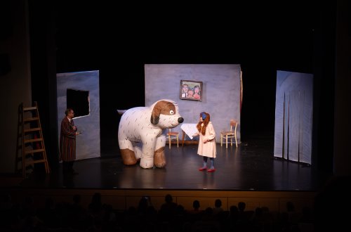 Štěně Áji vyrostlo v Maxipsa