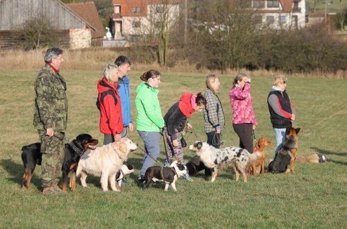 Kynologové v Martinicích pořádali Legrando závod