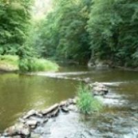 image001 copy copy copy