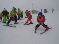 lyzarska skola detail