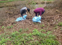 20160412 140358_resized