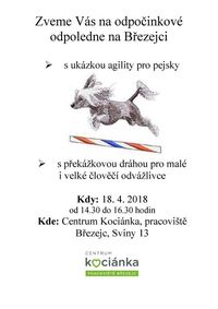 plakát agility_18.4._2018