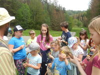 tit copy_copy_copy_copy_copy_copy_copy_copy