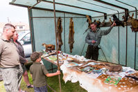 tit copy_copy_copy_copy