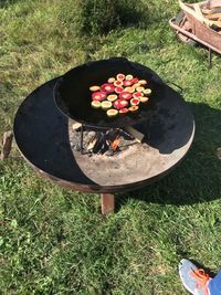 TZ Zahradní_terapie_1