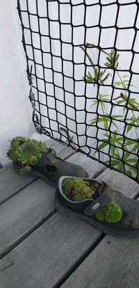 TZ zahradní_terapie_2