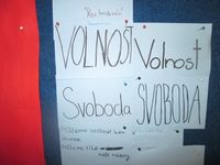 74169520 1255159931339010_2420008664485068800_n