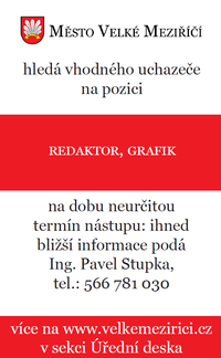 Redaktor grafik