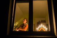 Silvestr a_zvirata_1