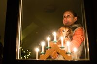 Silvestr a_zvirata_3