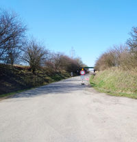 1 copy_copy_copy_copy