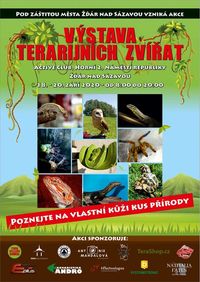 42ed6bb668d4d41b8b1ff274f490dfb8.0 002_copy_copy