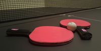 ping-pong-1205609