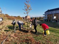 IMG 20211022_160055_foto_Josef_Matějíček