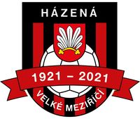 logo Hzen_1921_-_2021