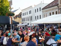 P1230260-25220-800-600-80