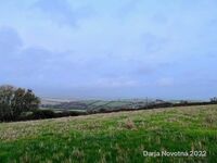 011DE2BC-FC04-460E-85FA-72A2275982F9 copy copy