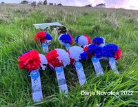 B4BB115B-573C-4C3C-AA38-2F5F242A2A46 1 copy