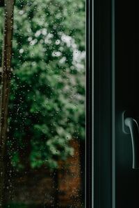 pexels-irina-iriser-3288790