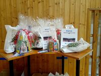 317563158 464648709116995_7355652563604355089_n