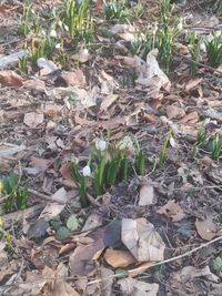 277543079 534923307970303_2892650496563801887_n