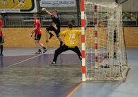 Starší dorostenci_foto._Házená_VM