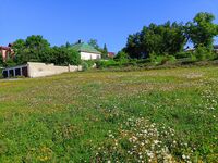 nová kopretinová_louka_po_bývalém_domově_důchodců