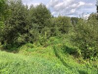 34757a77-0126-4fae-b050-ca6752ac769b