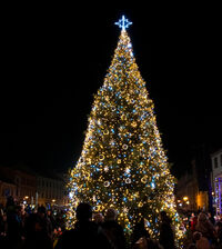 319892028 521913973207726_1219065306908363112_n