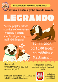 Snímek obrazovky_2023-11-16_082503