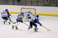 IMG 2313-1781-1200-900-90-center-middle