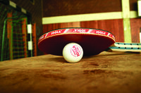 Stolni tenis_Pixabay