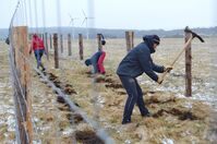 Tip 2_finance_na_výsadby