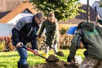 Tip 3_finance_na_výsadby