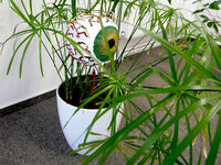 Výstava Čichám_člověčinu_04A